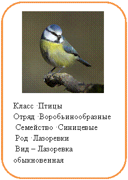 Скругленный