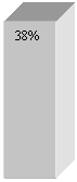 Подпись: 38%