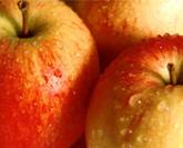 http://*****/images/stories/apple.jpg
