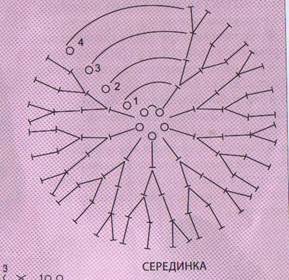 ��������: