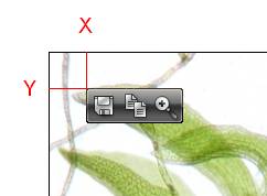 TOP_LEFT