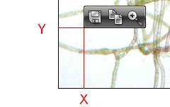 BOTTOM_LEFT