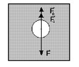 Graphic1