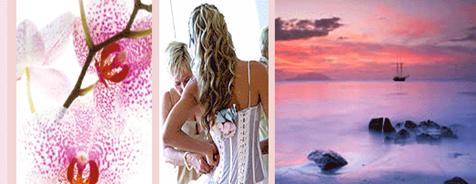 seychelles-wedding1.gif"