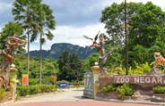 �����-������ ������� Zoo Negara