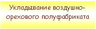 �������: ����������� ��������-��������� ������������� 