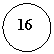 ����: 16