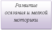 Подпись: Развитие осязания и мелкой моторики