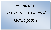 Подпись: Развитие осязания и мелкой моторики