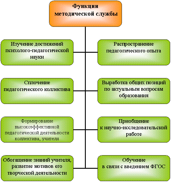Организационная диаграмма