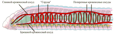 {172F882E-CF34-479F-B200-F2FAB1206C43}