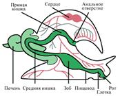 {7E53749B-5BA1-49E8-BCC2-C84E78642A2C}