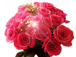 i?id=4-72
