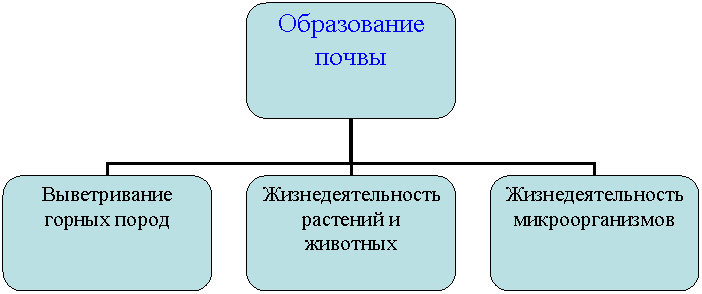 Организационная диаграмма