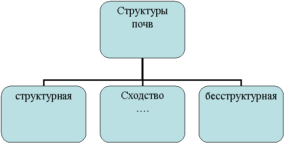 Организационная диаграмма
