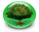 NSTree Controller.png