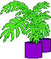 FERN1