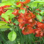 http://*****/mail/zagorskij1934/_avatar