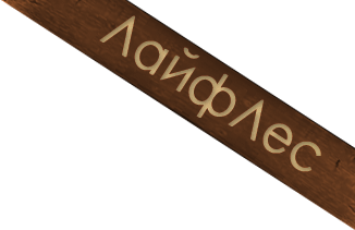 logo3.png