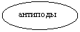 ����: ��������