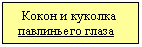 �������: ����� � ������� ���������� �����



