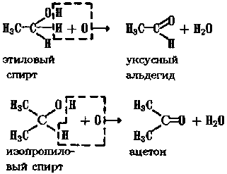 1.gif (3732 bytes)