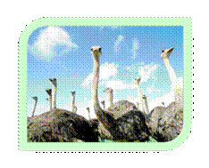 \\Antonina-comp\��������