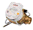 compact%20v_1