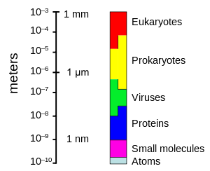 http://upload.wikimedia.org/wikipedia/commons/thumb/0/01/Relative_scale.svg/300px-Relative_scale.svg.png