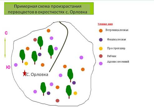 C:\Users\�����������\Desktop\�����������2.jpg