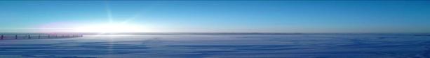 DSC01203.JPG
