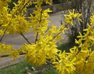 http://*****/ru/activity/molodeg/adler/polntext/i712.files/image024.jpg