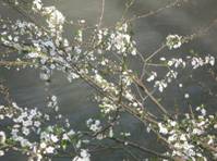 http://*****/ru/activity/molodeg/adler/polntext/i712.files/image036.jpg