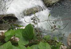 http://*****/ru/activity/molodeg/adler/polntext/i1318.files/image052.jpg