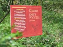 http://*****/ru/activity/molodeg/adler/polntext/i1926.files/image016.jpg