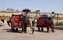 http://*****/india/jaipur/001.jpg