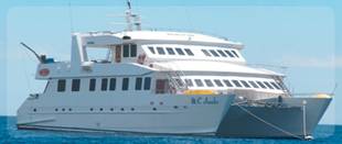Galapagos Journey I 