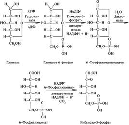 B2319p95-1.jpg