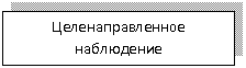 Подпись: Целенаправленное наблюдение