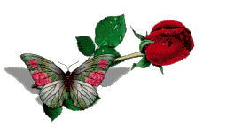 http://s18.rimg.info/40d35d6eef76f21df7b5abc014b5b5f0.gif