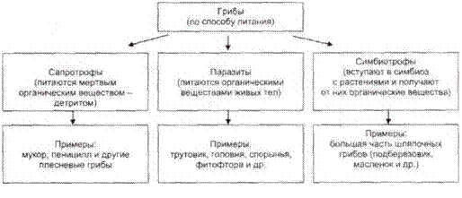 Подпись: