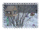 F:\�������� �����\P1010895.JPG