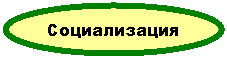 Овал: Социализация