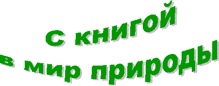 � ������

� ��� �������