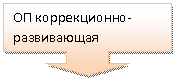Выноска со стрелкой вниз: ОП коррекционно-развивающая