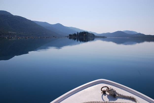 http://happyisland.weebly.com/uploads/3/4/7/5/3475550/1358221_orig.jpg