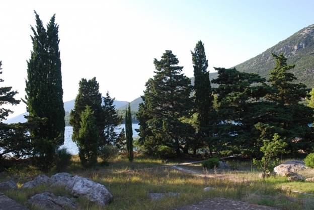 http://happyisland.weebly.com/uploads/3/4/7/5/3475550/823825_orig.jpg