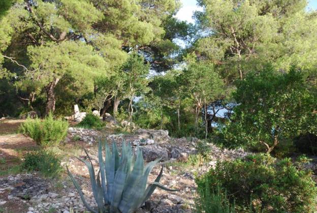 http://happyisland.weebly.com/uploads/3/4/7/5/3475550/8840903_orig.jpg