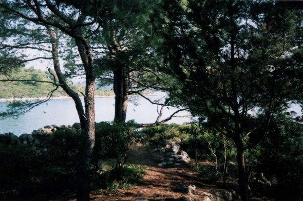 http://happyisland.weebly.com/uploads/3/4/7/5/3475550/3825382_orig.jpg