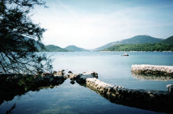 http://happyisland.weebly.com/uploads/3/4/7/5/3475550/9747253_orig.jpg